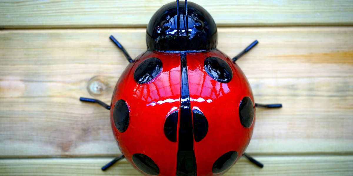 Multiple Days Bug Hunting Event